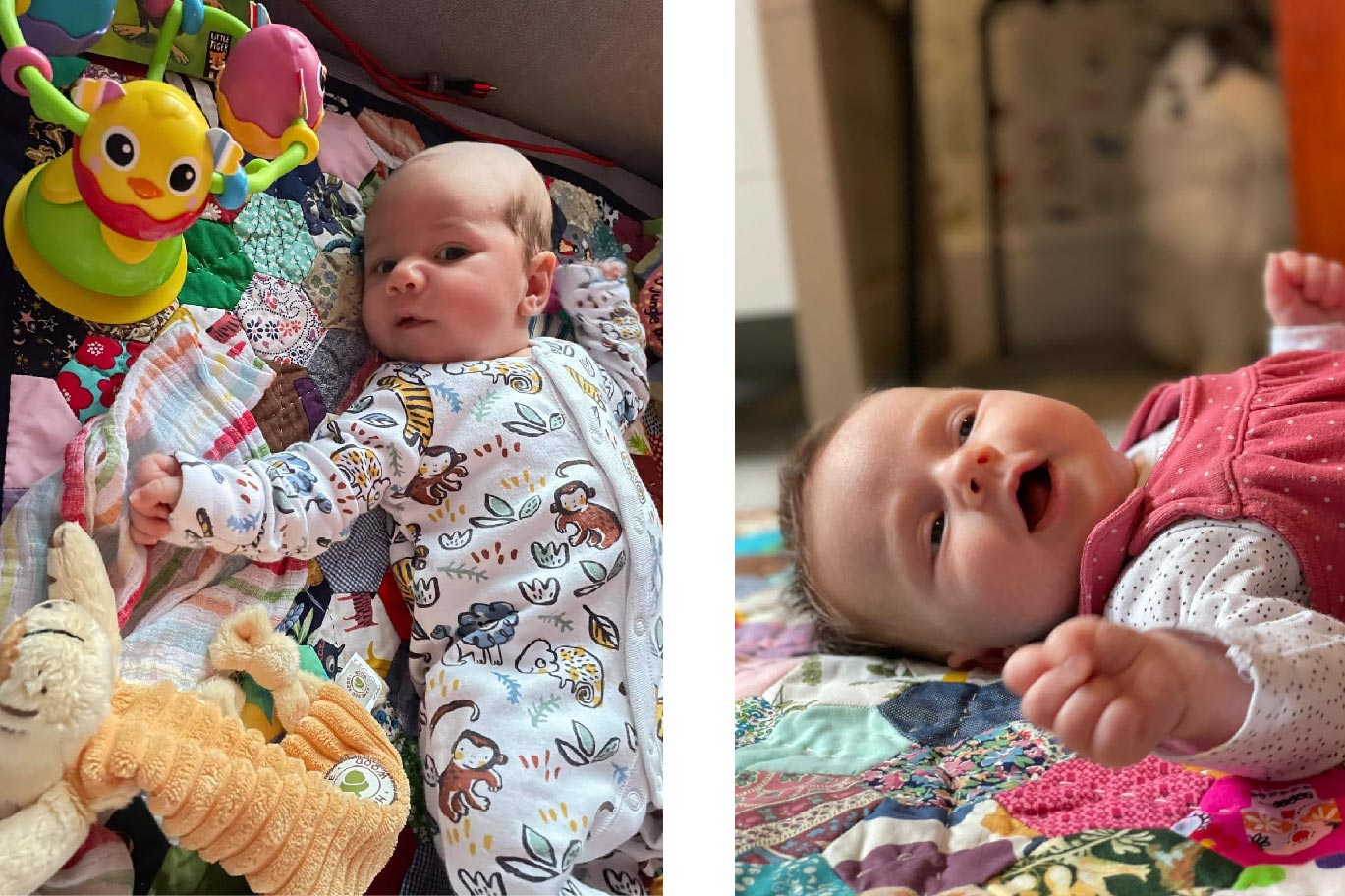 Photo of patchwork quilts and babies